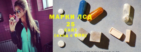 мдпв Богородск