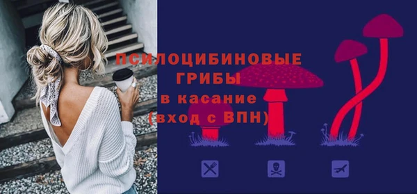 мдпв Богородск