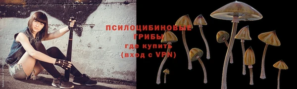 кристаллы Богданович