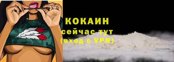 мдпв Богородск