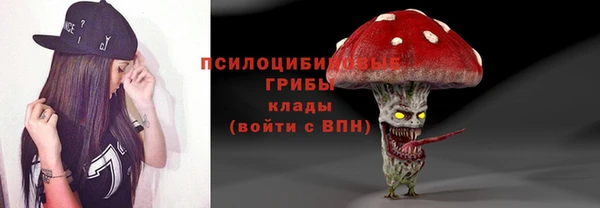 прущие крисы Белокуриха