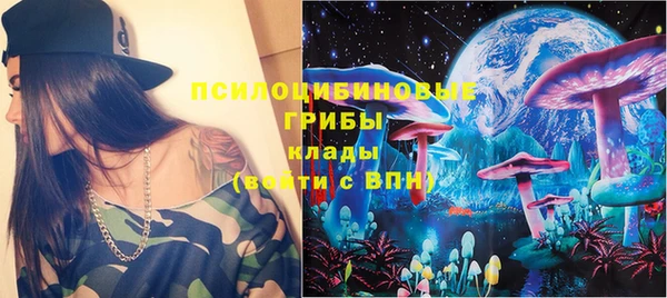 мдпв Богородск