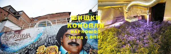 ALPHA-PVP Богородицк