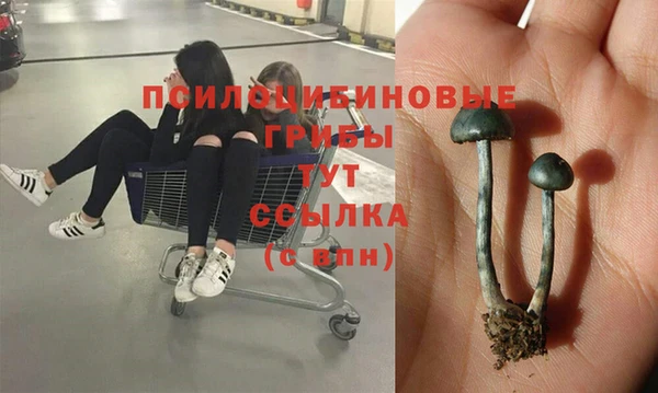 ALPHA-PVP Богородицк