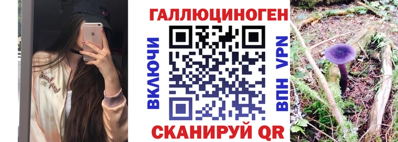 ссылка на мегу как зайти  Видное  Галлюциногенные грибы мухоморы 