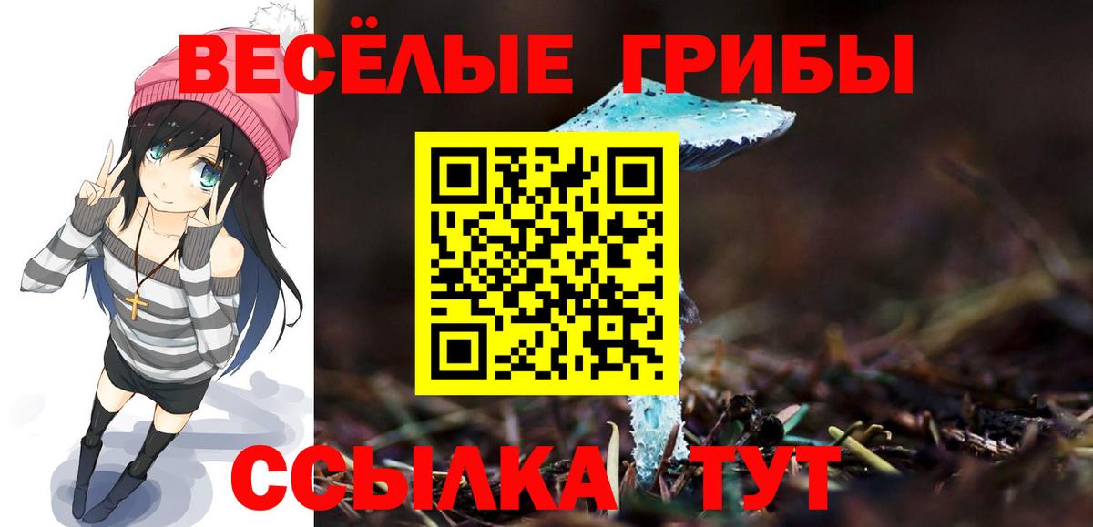 купить   Галлюциногенные грибы GOLDEN TEACHER  Вход с VPN  Видное 